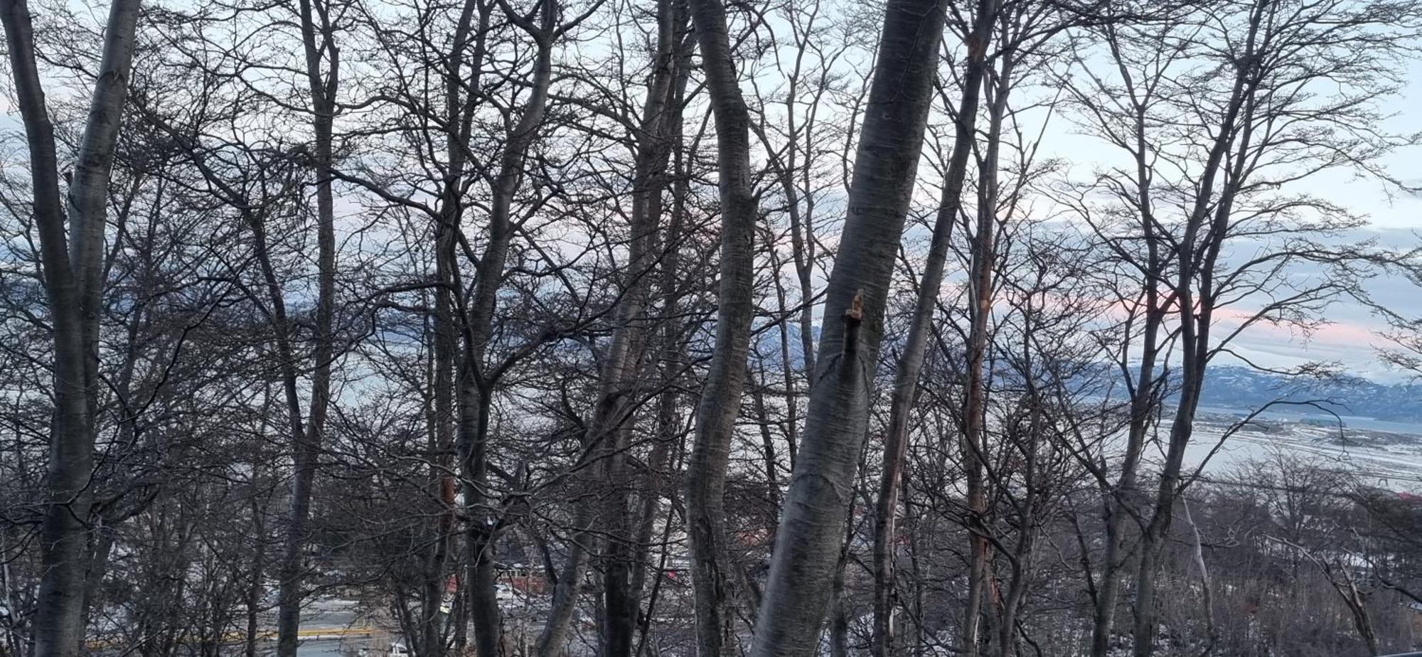 Depto Laguna Encantada Ushuaia Dış mekan fotoğraf